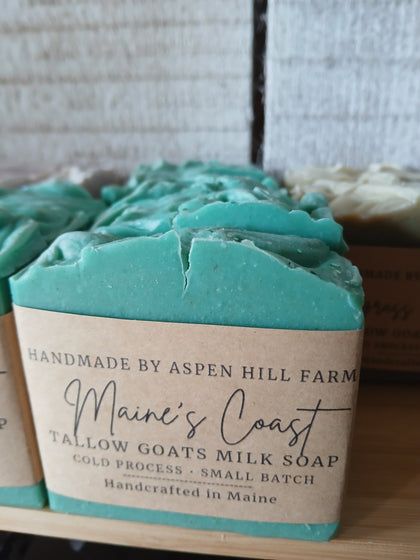 Maine's Coast Type